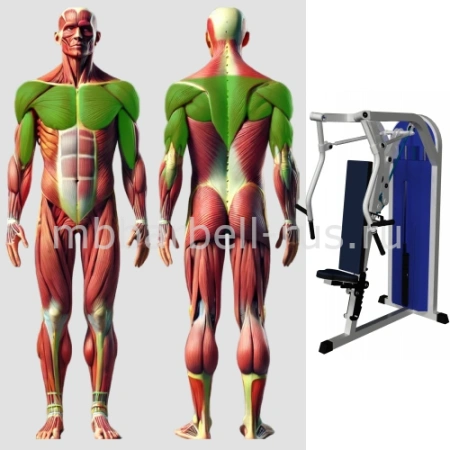 Горизонтальный жим от груди MB 3.18 N MB Barbell