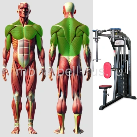 Грудь машина и задние дельты MB 3.09 MB Barbell