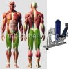 Жим ногами горизонтальный MB 3.20 N MB Barbell