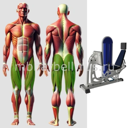 Жим ногами горизонтальный MB 3.20 N MB Barbell