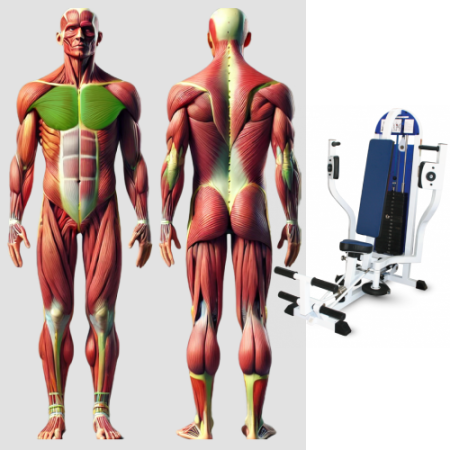 Грудь машина Баттерфляй MB 3.26 MB Barbell