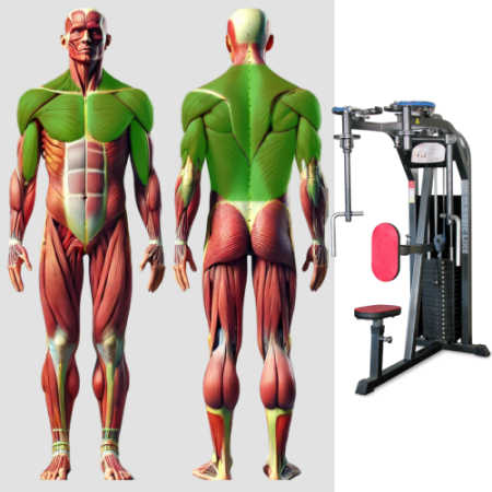 Грудь машина и задние дельты MB 3.09 MB Barbell