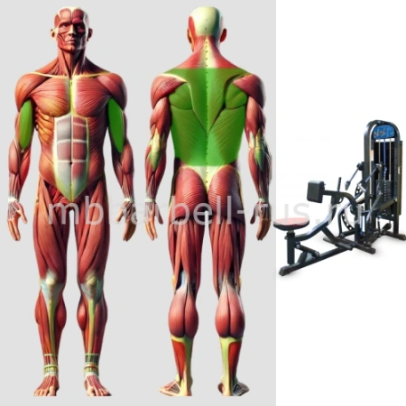 Тяга на себя с упором в грудь MB 3.33 MB Barbell
