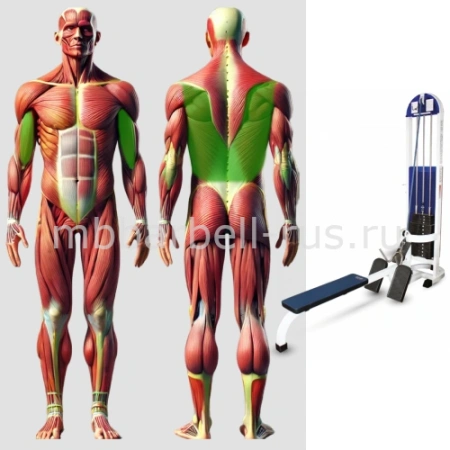 Горизонтальная тяга MB 3.08 MB Barbell