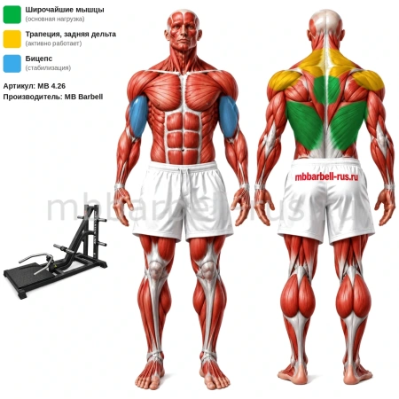 Т-образная тяга свободные веса MB 4.26 MB Barbell