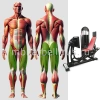 Жим ногами горизонтальный MB 3.20 MB Barbell