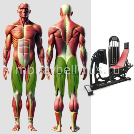 Жим ногами горизонтальный MB 3.20 MB Barbell