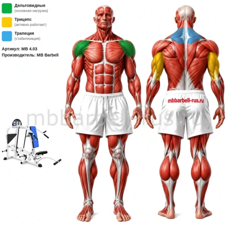 Жим вверх свободные веса MB 4.03 MB Barbell