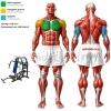 Жим под углом вверх свободные веса MB 4.15 MB Barbell