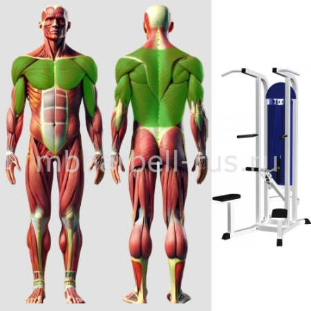 Турник брусья с разгружением Гравитрон MB 3.14 N MB Barbell