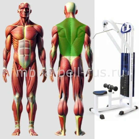 Вертикальная тяга MB 3.04 MB Barbell