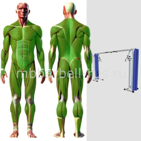 Перекрестная тяга регулируемая кроссовер MB 3.28 N MB Barbell