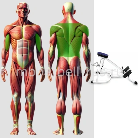 Т-образная тяга с упором в грудь свободные веса MB 4.29 MB Barbell