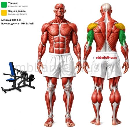 Трицепс MB 4.04 MB Barbell