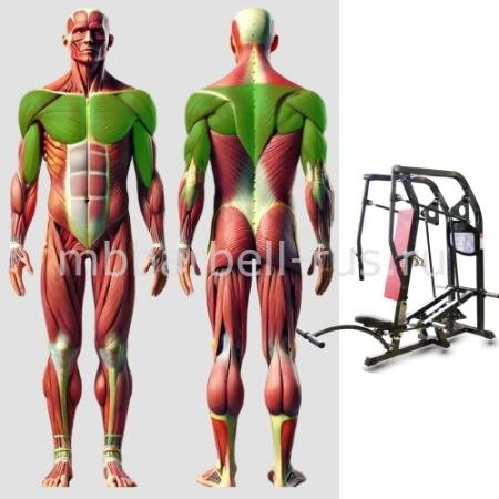 Горизонтальный жим от груди свободные веса MB 4.02 MB Barbell