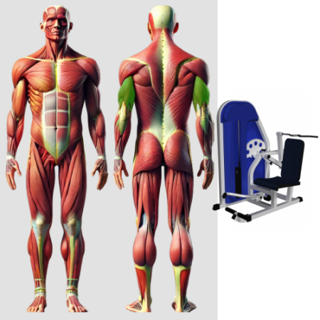 Трицепс машина MB 3.12 N MB Barbell