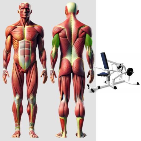 Трицепс MB 4.04 MB Barbell