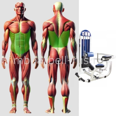 Торс машина скручивание MB 3.34 MB Barbell