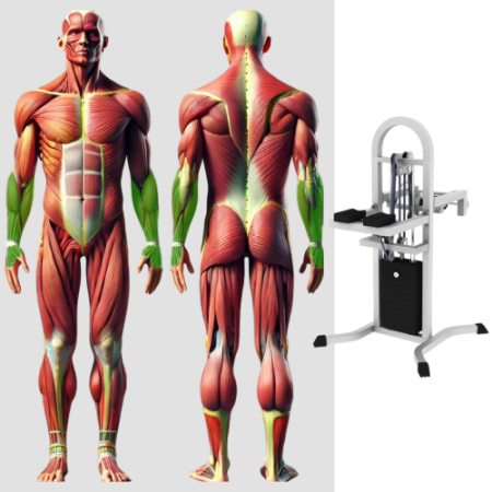 Кистевой тренажер MB 3.36 MB Barbell