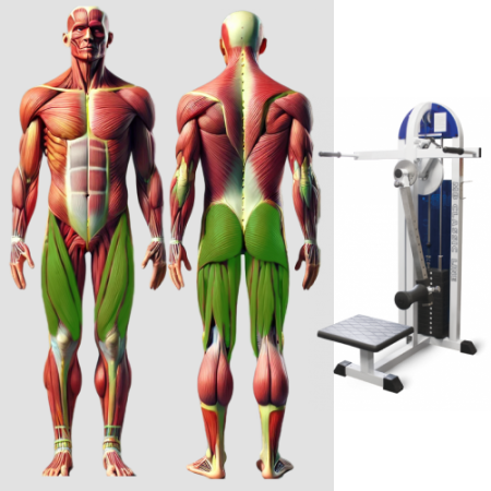 Отведение приведение бедра стоя MB 3.13 MB Barbell