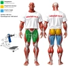 Тренажер для приседаний с обратным наклоном MB 4.20 MB Barbell