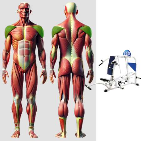 Жим вверх свободные веса MB 4.03 белый MB Barbell