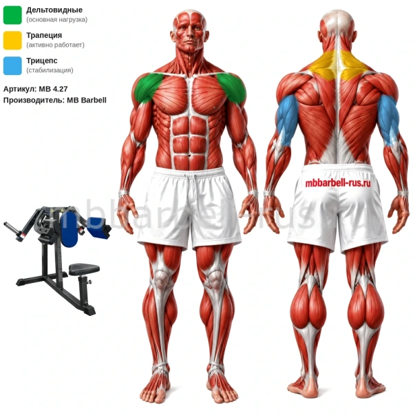Дельта машина свободные веса MB 4.27 MB Barbell