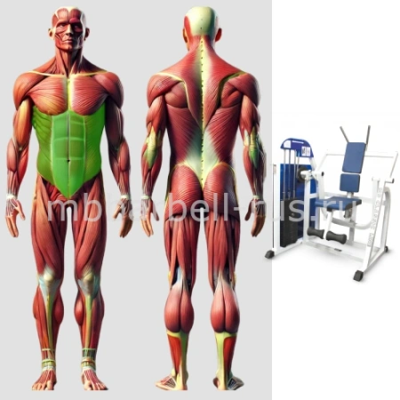 Пресс машина MB 3.23 MB Barbell