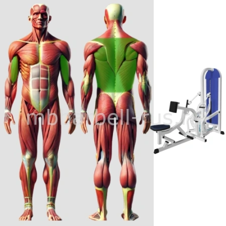 Тяга на себя с упором в грудь MB 3.33 N MB Barbell