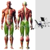 Жим ногами на свободных весах с изменяемой нагрузкой MB 4.07.1 MB Barbell